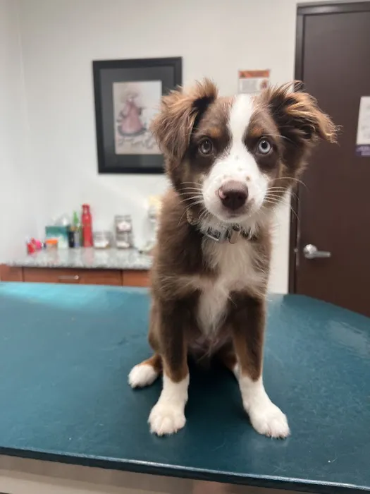 Basin Run Animal Hospital 12