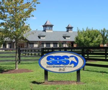 Select Breeders Service, Inc