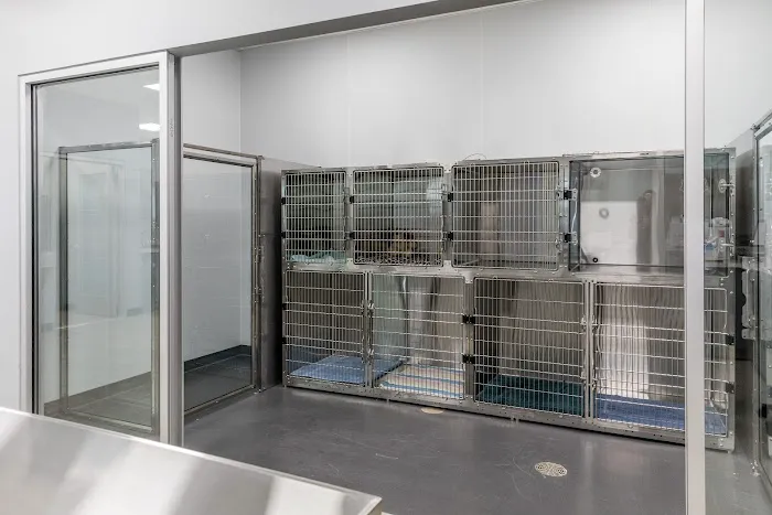 Willow Grace Veterinary Hospital 12
