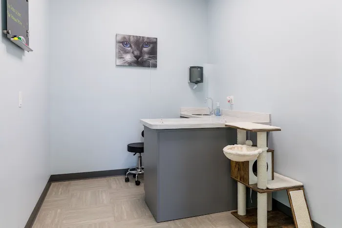 Willow Grace Veterinary Hospital 12