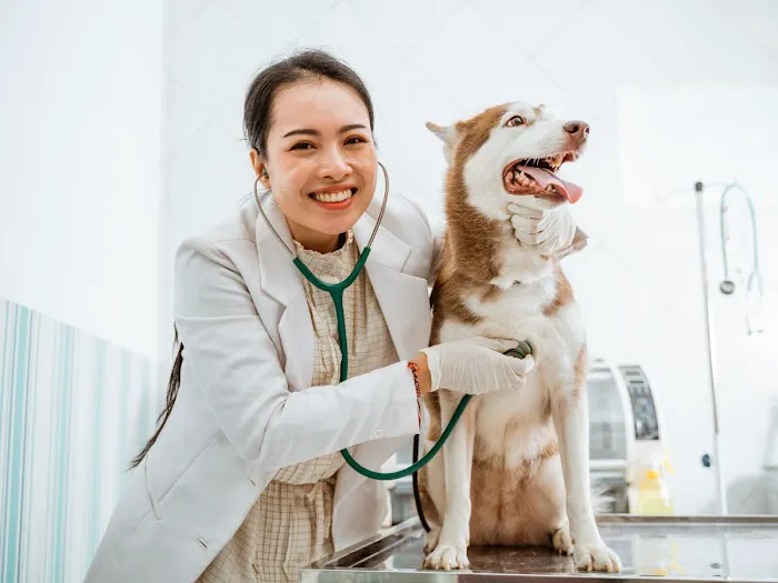 Vida Veterinary Urgent Care 12