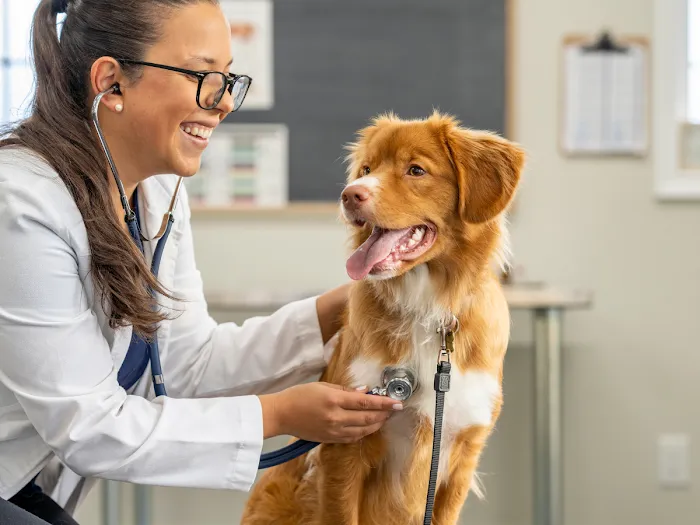 Vida Veterinary Urgent Care 12