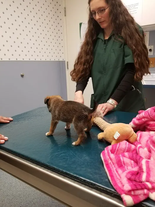 Wyomissing Animal Hospital 12
