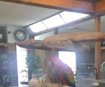 Kookaburra Bird Shop, LLC