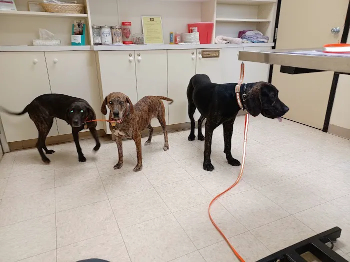 Willow Creek Veterinary Center 12