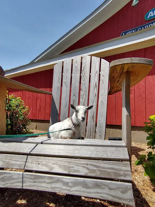 Willow Creek Veterinary Center 12