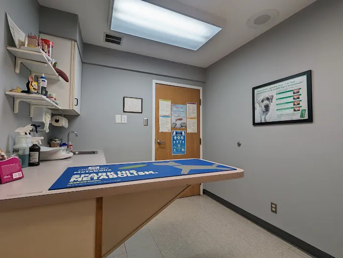 Shore Veterinarians 12