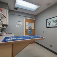 Shore Veterinarians ico