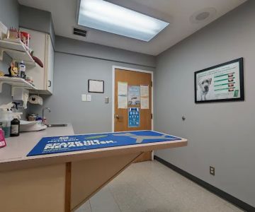 Shore Veterinarians