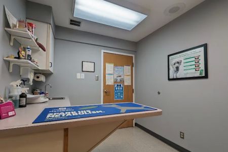 Shore Veterinarians
