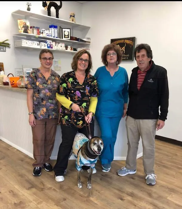 Brigantine Animal Hospital 8