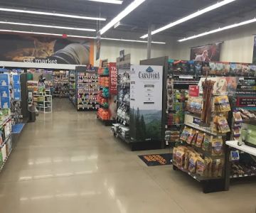 Petco