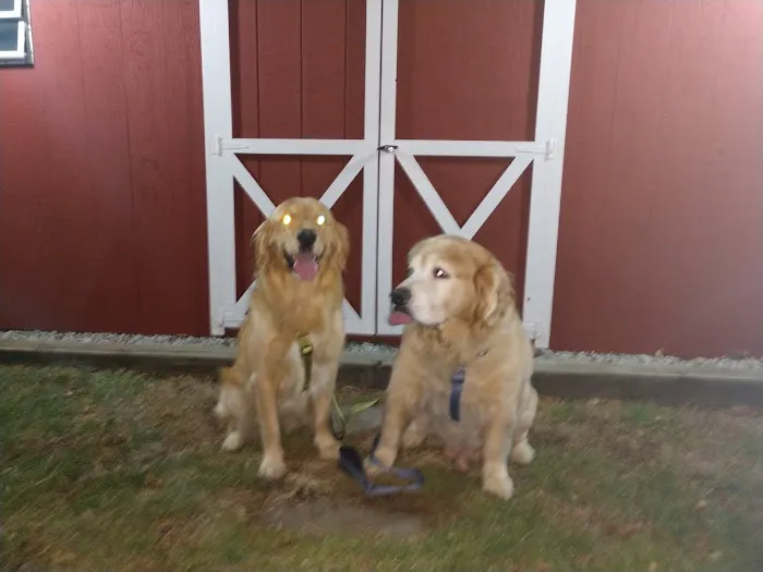 Wilwynn Animal Hospital 12