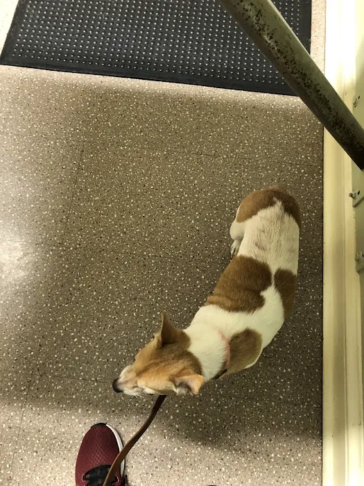 Wilwynn Animal Hospital 12