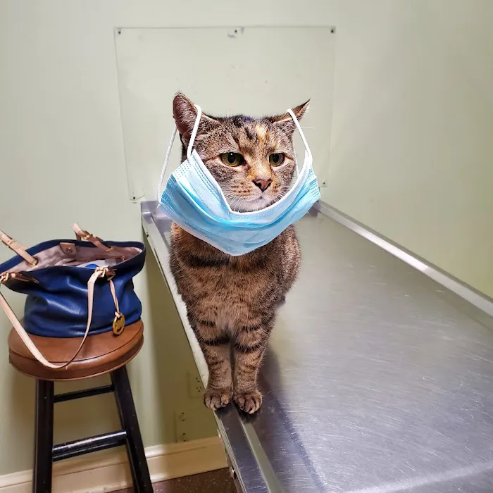 Wilwynn Animal Hospital 12