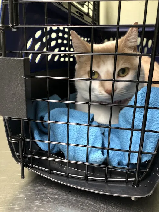 Wilwynn Animal Hospital 12