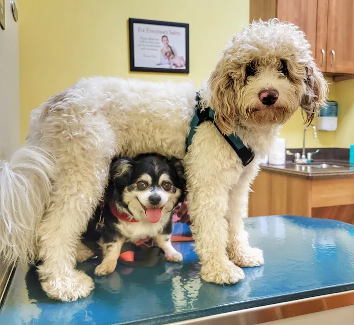 PriorityVet - Total Pet Care of Toms River , NJ 12