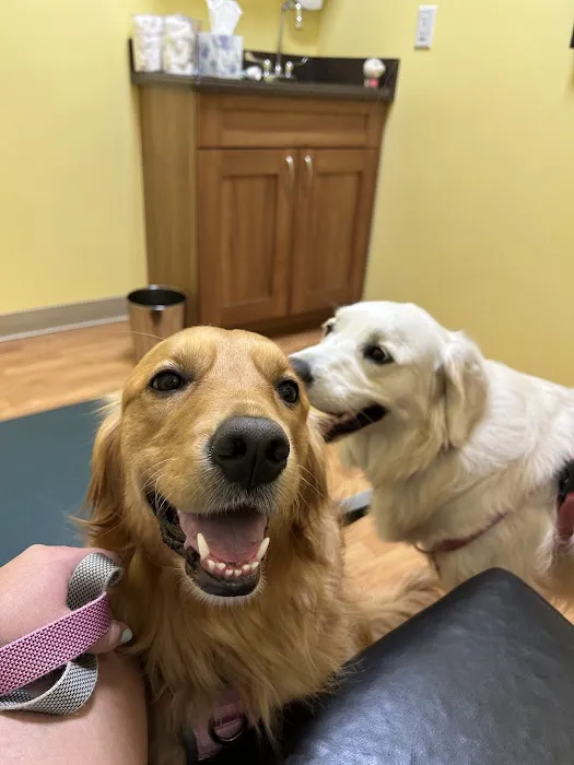 PriorityVet - Total Pet Care of Toms River , NJ 12
