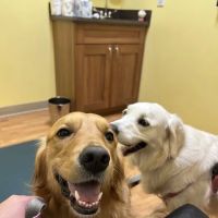 PriorityVet - Total Pet Care of Toms River , NJ ico