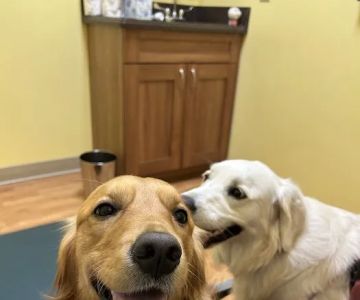 PriorityVet - Total Pet Care of Toms River , NJ