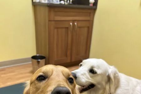 PriorityVet - Total Pet Care of Toms River , NJ
