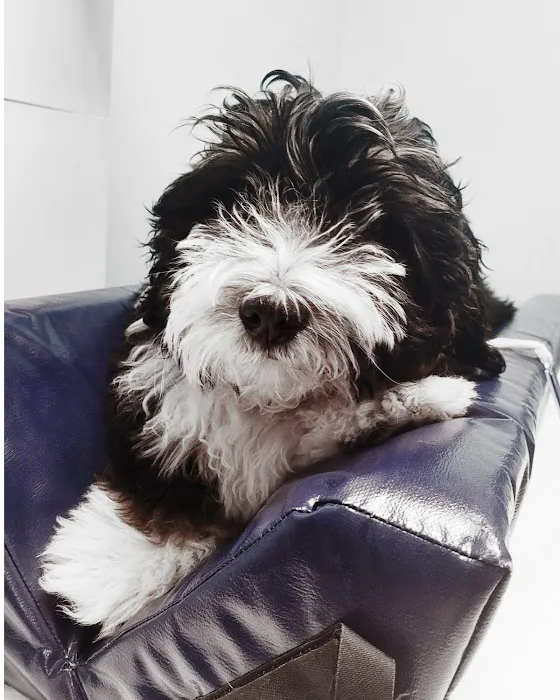 PriorityVet - Total Pet Care of Toms River , NJ 12