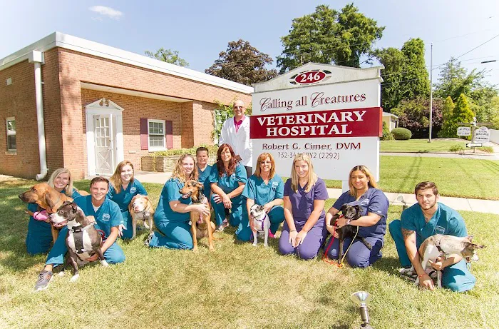 Calling All Creatures Veterinary Hospital 12