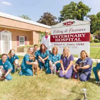 Calling All Creatures Veterinary Hospital ico