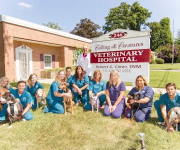Calling All Creatures Veterinary Hospital