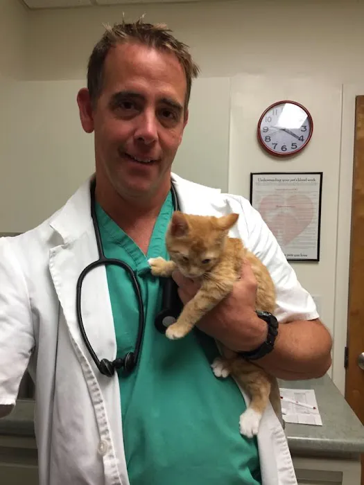 VCA Fischer Animal Hospital 12