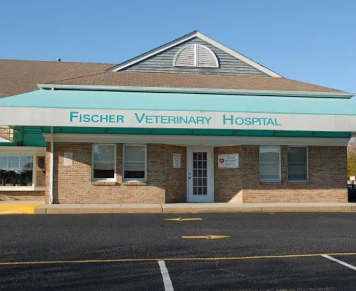 VCA Fischer Animal Hospital 12
