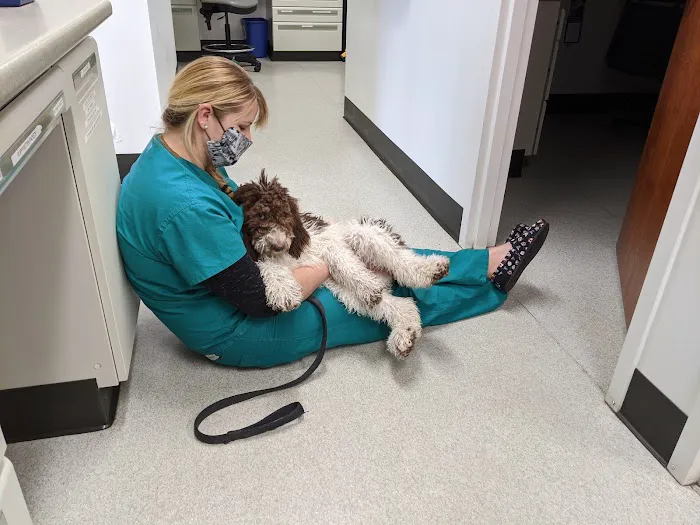 Bridge Veterinary Hospital 12