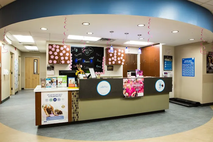 Bayview Animal Hospital 12