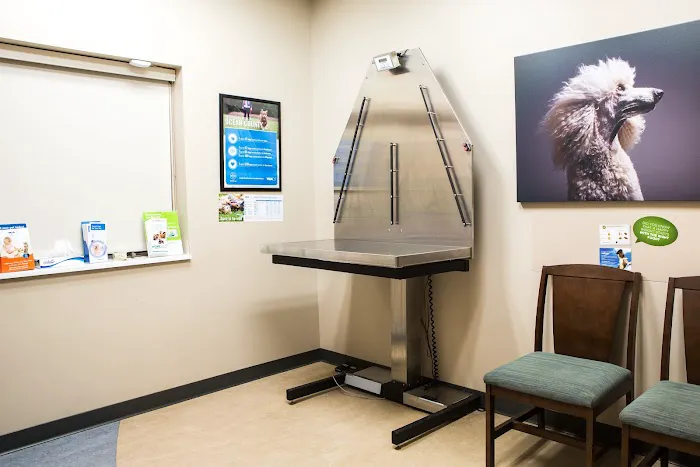 Bayview Animal Hospital 12