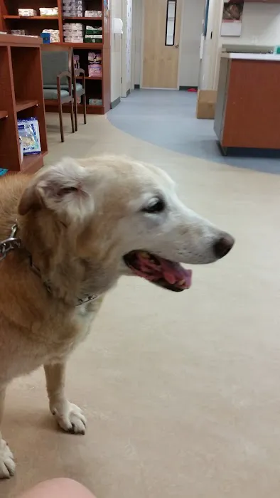 Bayview Animal Hospital 12