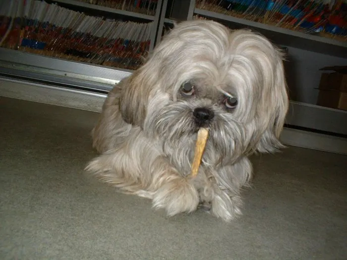 Bayview Animal Hospital 12