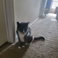 Bayville Veterinary Hospital ico