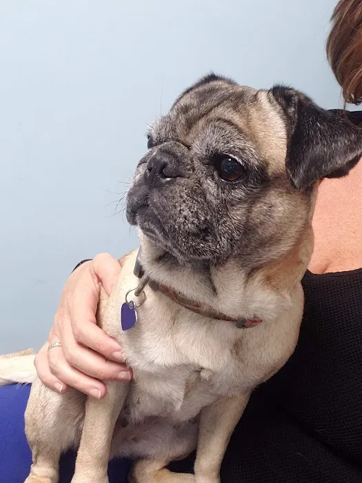 Bayville Veterinary Hospital 12