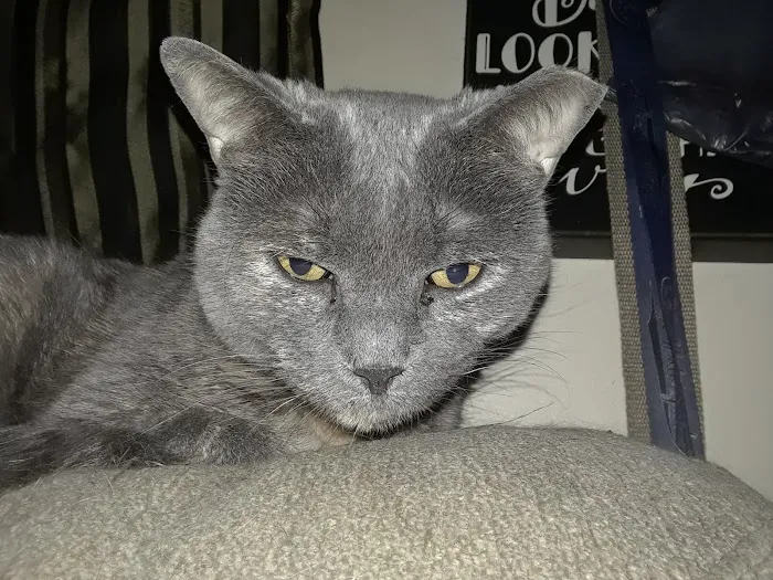 Bayville Veterinary Hospital 12