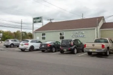 Coastal Veterinary 12