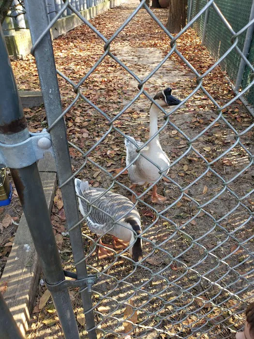 Popcorn Park Animal Clinic 12