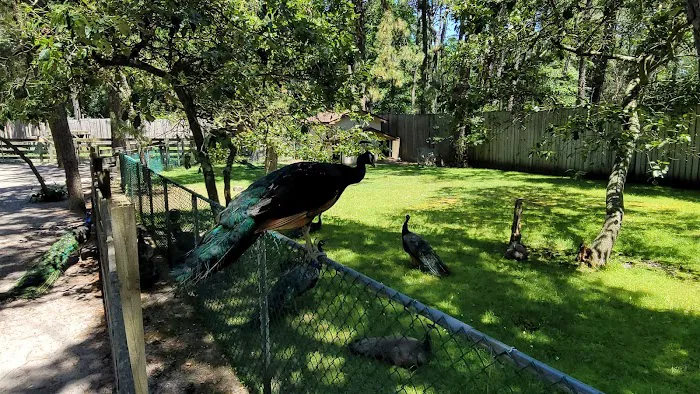 Popcorn Park Animal Clinic 12
