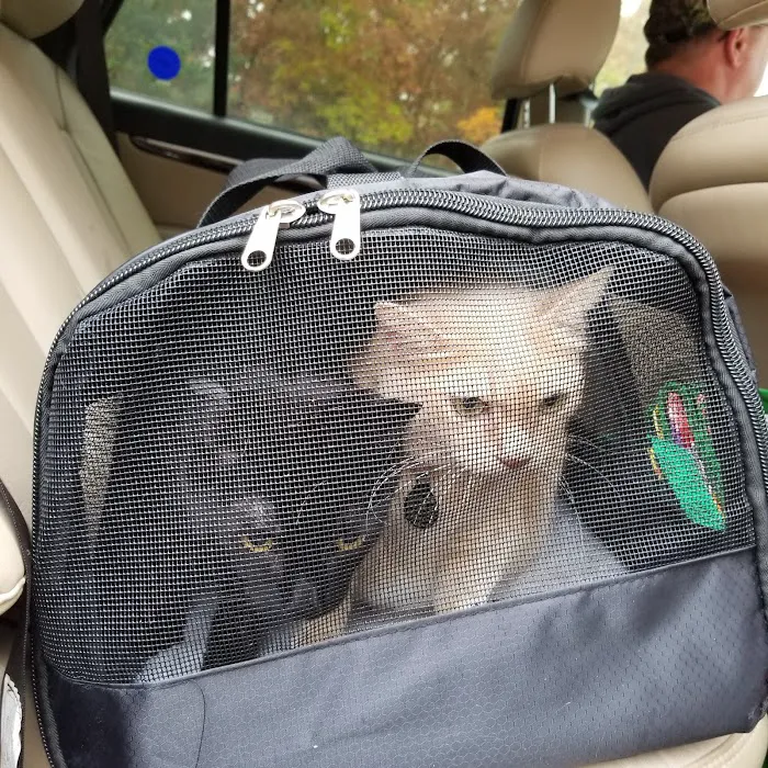 Crestwood Village Veterinary Clinic 12