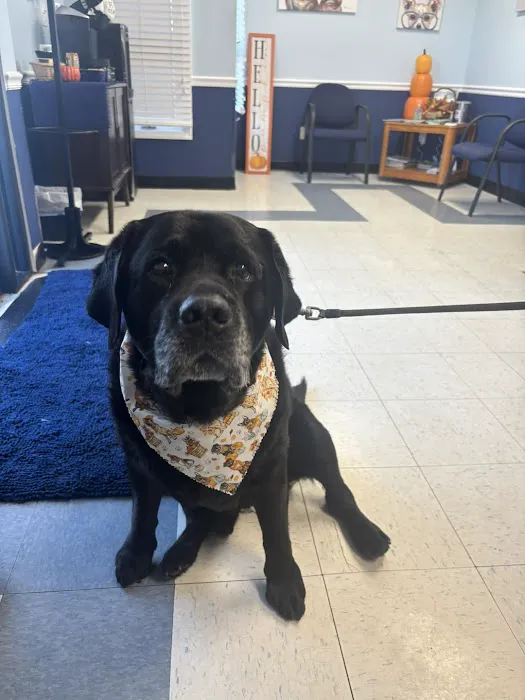 Long Branch Animal Hospital 12