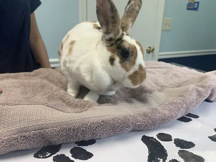Long Branch Animal Hospital 12
