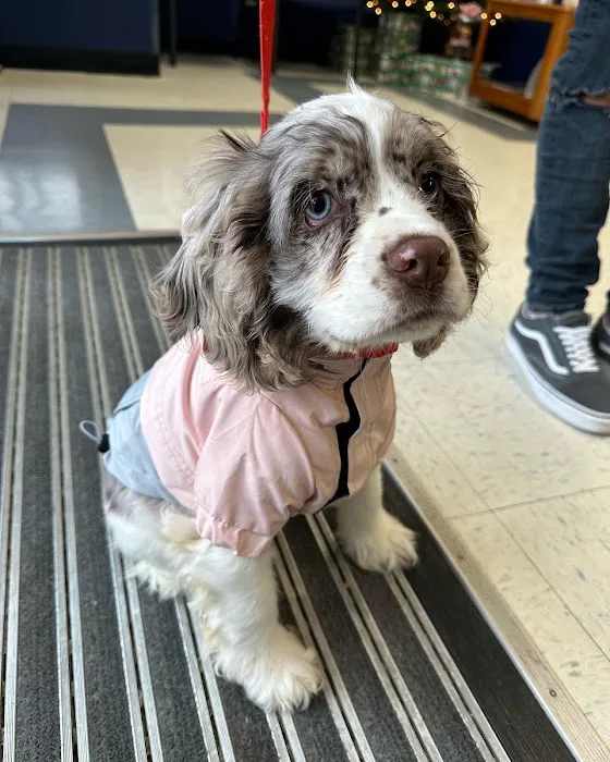 Long Branch Animal Hospital 12