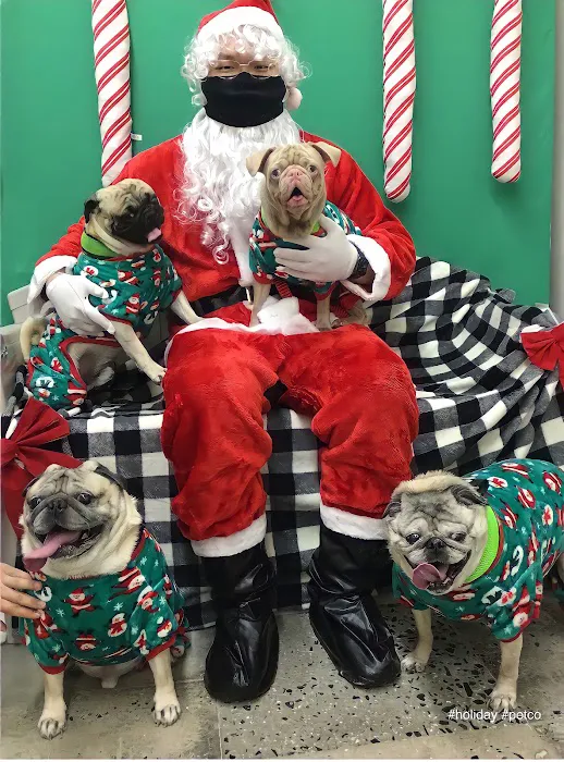 Atlantic Highlands Animal Hospital 12