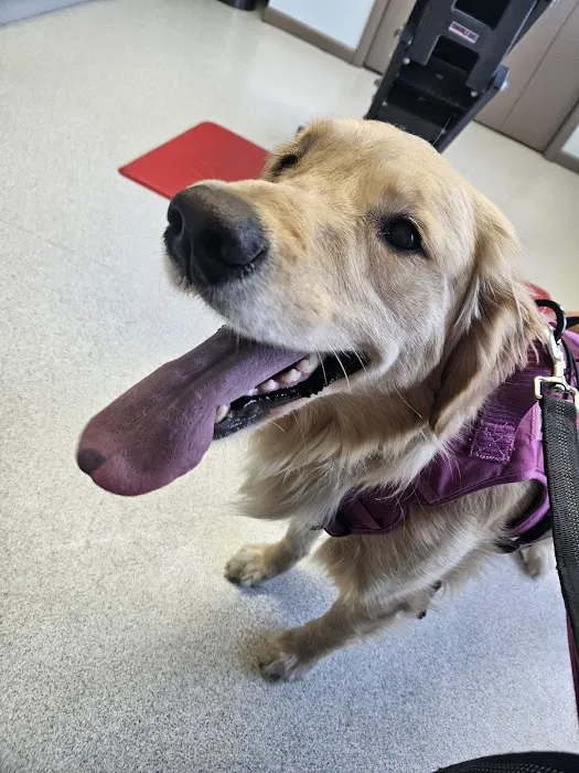 Atlantic Highlands Animal Hospital 12