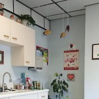Atlantic Highlands Animal Hospital ico