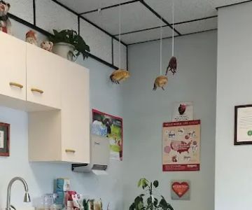 Atlantic Highlands Animal Hospital